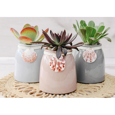 Sea Glass Succulent Planter