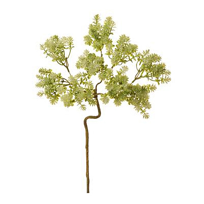 Sedum Spray - Green