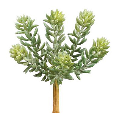 Sedum Pick Soft - Green/Grey