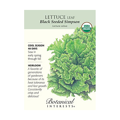 Seeds - BI Lettuce Leaf Black Seeded Simpson Org