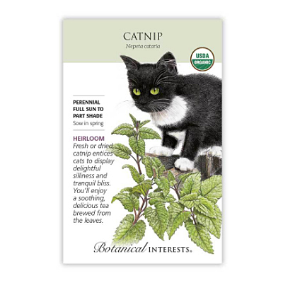 Seeds - BI Catnip Org
