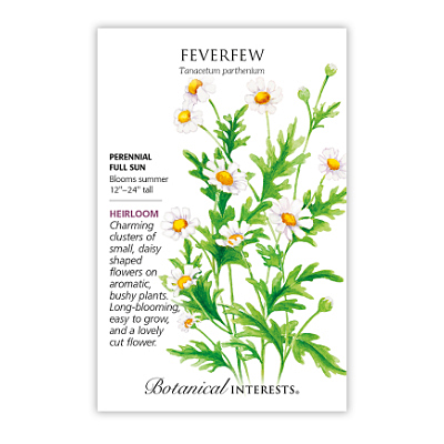 Seeds - BI Feverfew