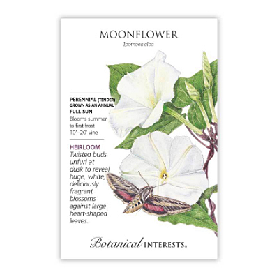 Seeds - BI Moonflower