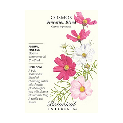 Seeds - BI Cosmos Sensation Blend