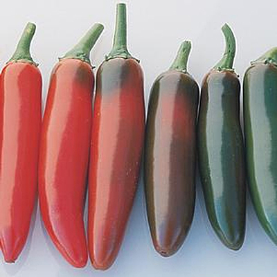 Pepper 'Serrano Del Sol'