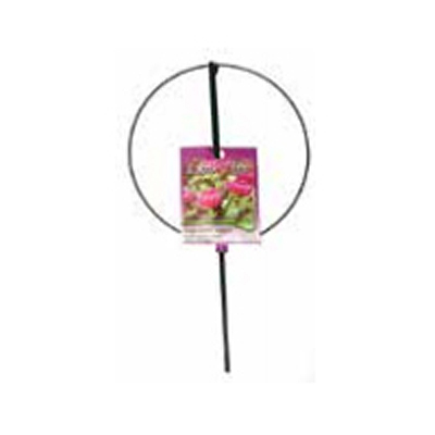 Luster Leaf Single Flower Support