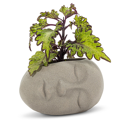 Planter - Sleeping Head