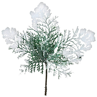 Pick - Snow Cedar