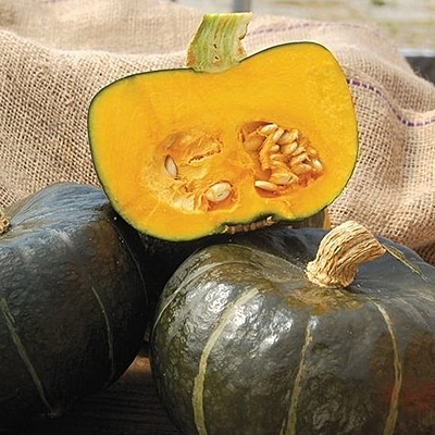 Squash 'Space Station'