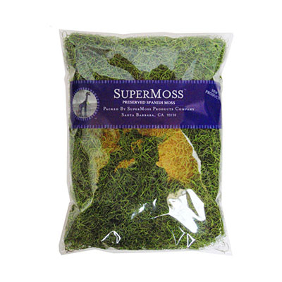 Moss - Spanish SuperMoss Preserved