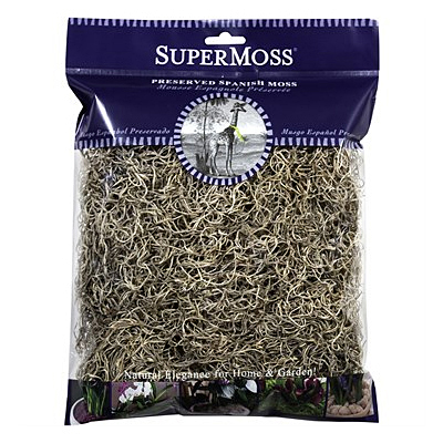 Moss - Spanish Natural