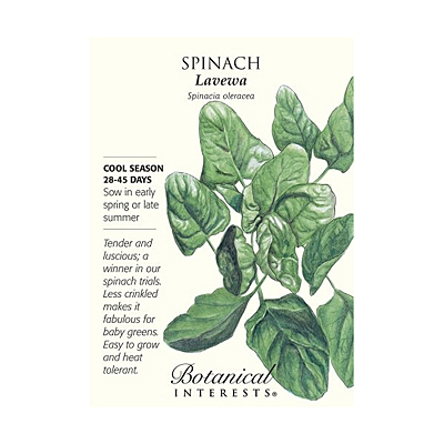 Seeds - BI Spinach Lavewa