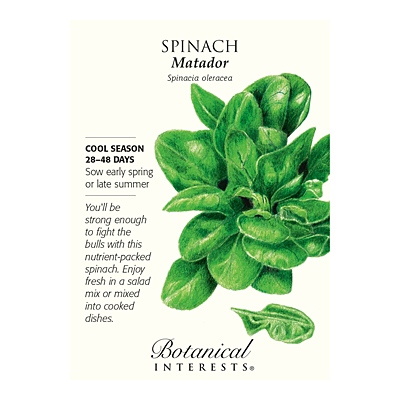 Seeds - BI Spinach Matador