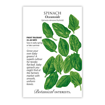 Seeds - BI Spinach Oceanside Hybrid
