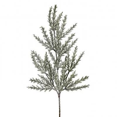 Spray - Frosted Prickly Juniper