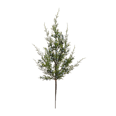 Spray - Juniper with Berry Green