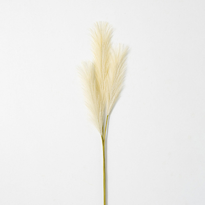 Spray - Plume Stem