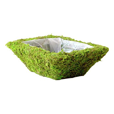 Basket - Moss Square Dish