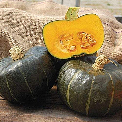 Squash 'Buttercup'