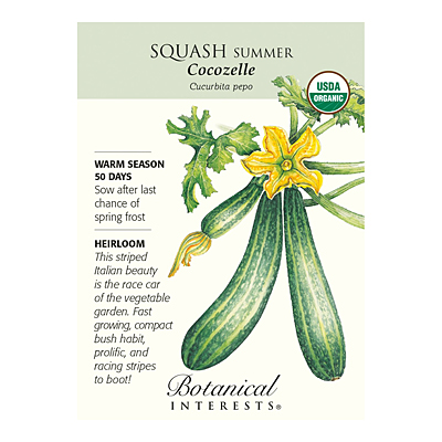 Seeds - BI Squash Summer Cocozelle Org