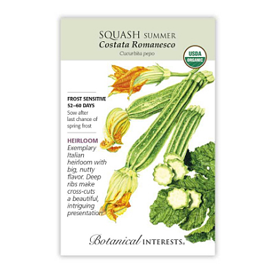Seeds - BI Squash Summer Costata Org