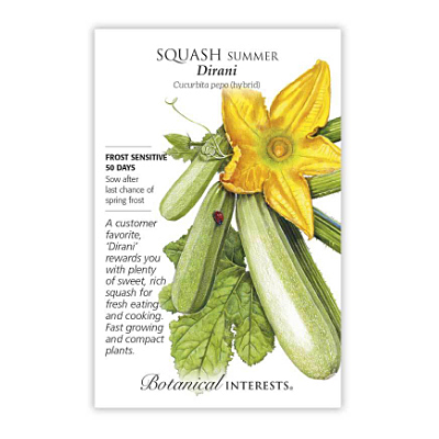 Seeds - BI Summer Squash Dirani