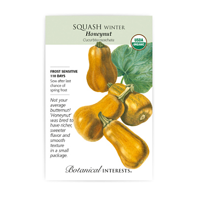 Seeds - BI Squash Winter Honeynut
