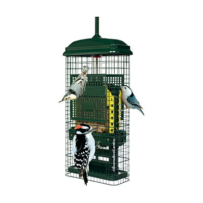 Squirrel Buster Suet Feeder