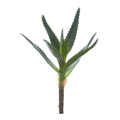 Succulent - Agave Pick, Green/Gray