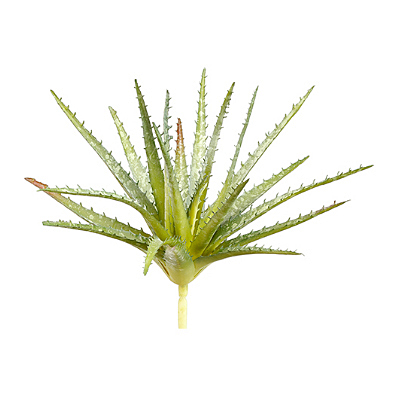Succulent - Aloe Soft Pick, Green