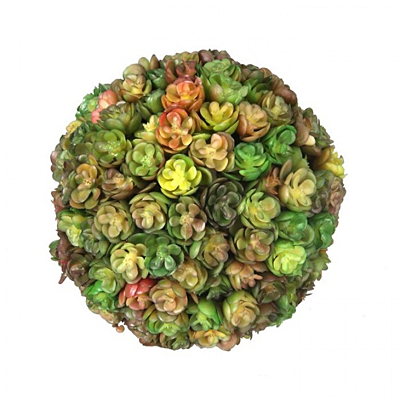 Succulent - Orb - Green/Burg