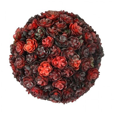 Succulent - Orb
