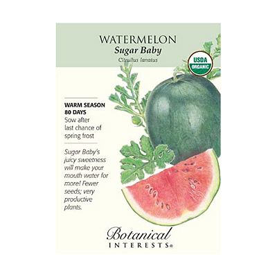 Seeds - BI Watermelon Sugar Baby Org