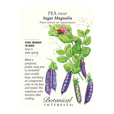 Seeds - BI Pea Snap Purple Sugar Magnolia