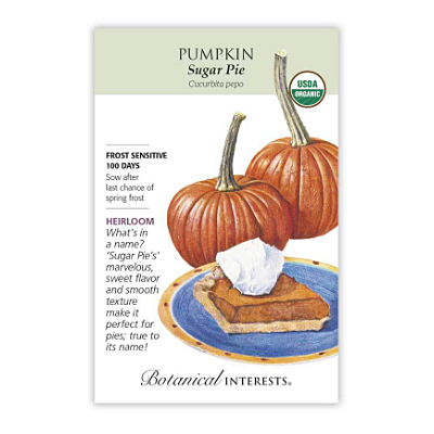 Seeds - BI Pumpkin Sugar Pie Org
