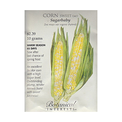 Seeds - BI Corn Sugarbaby Bicolor