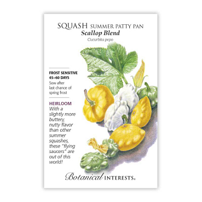 Seeds - BI Squash Summer Scallop Blend
