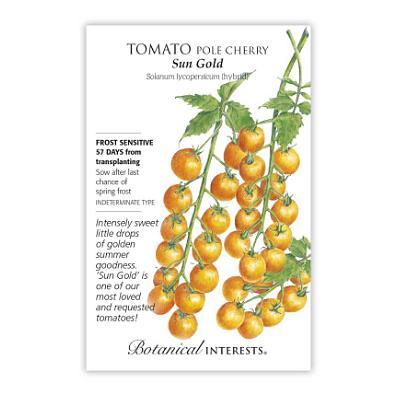 Seeds - BI Tomato Cherry Sun Gold