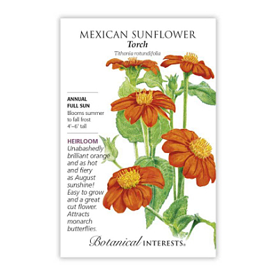 Seeds - BI Mexican Sunflower Torch