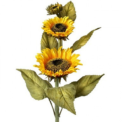 Sunflower & Bud - Yellow