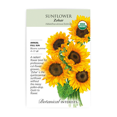 Seeds - BI Sunflower Zohar Hybrid Org