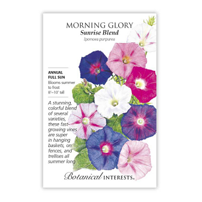 Seeds - BI Morning Glory Sunrise Blend