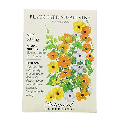 Seeds - BI Black-Eyed Susan Vine
