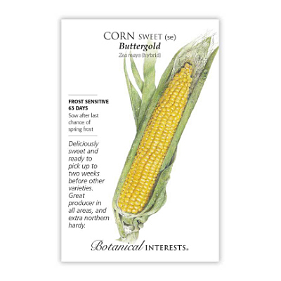 Seeds - BI Corn Sweet Buttergold (Yellow)