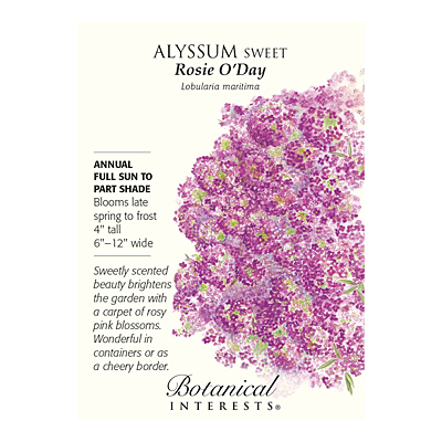 Seeds - BI Alyssum Sweet Rosie O'Day