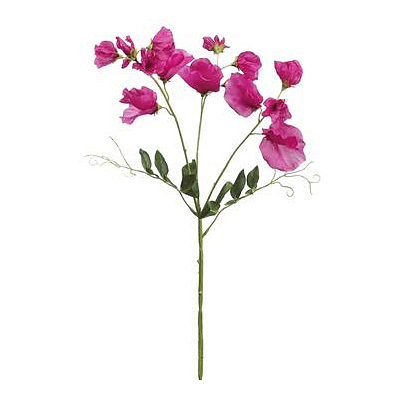 Sweetpea Spray - Beauty