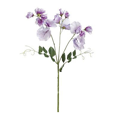 Sweetpea Spray - Lavender