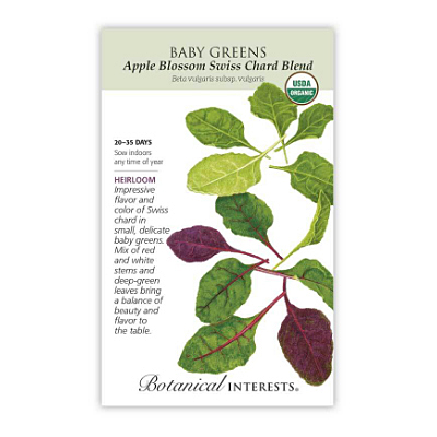 Seeds - BI Baby Greens Swiss Chard