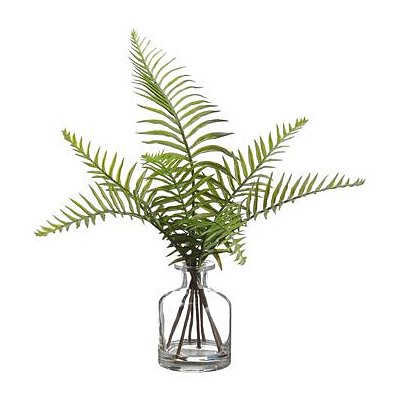 Sword Fern in Glass Vase