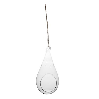 Teardrop Hanging Terrarium